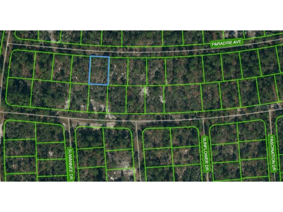 357 Paradise Avenue Lake Placid FL 33852 OM621109 image1