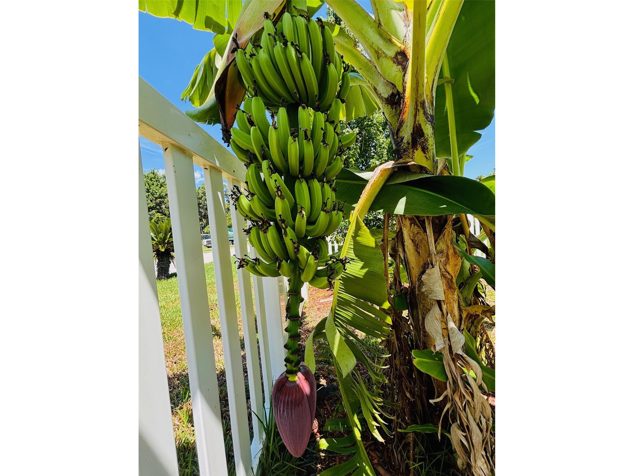 357 S Seneca Boulevard Daytona Beach FL 32114 NS1087010 image44