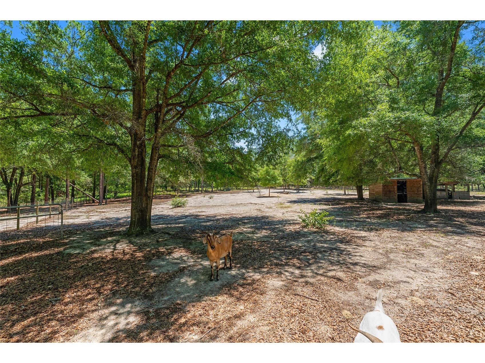 357 SW Conestoga Way Fort White FL 32038 GC541466 image42
