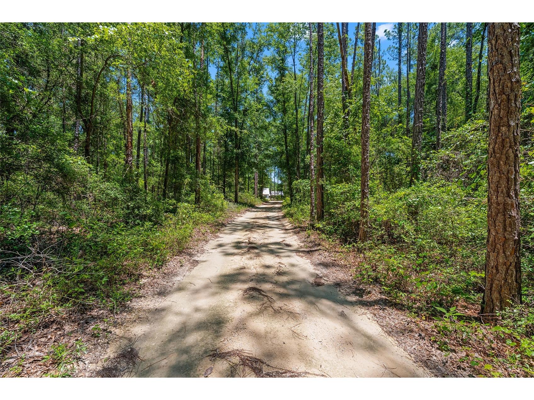 357 SW Conestoga Way Fort White FL 32038 GC541466 image49