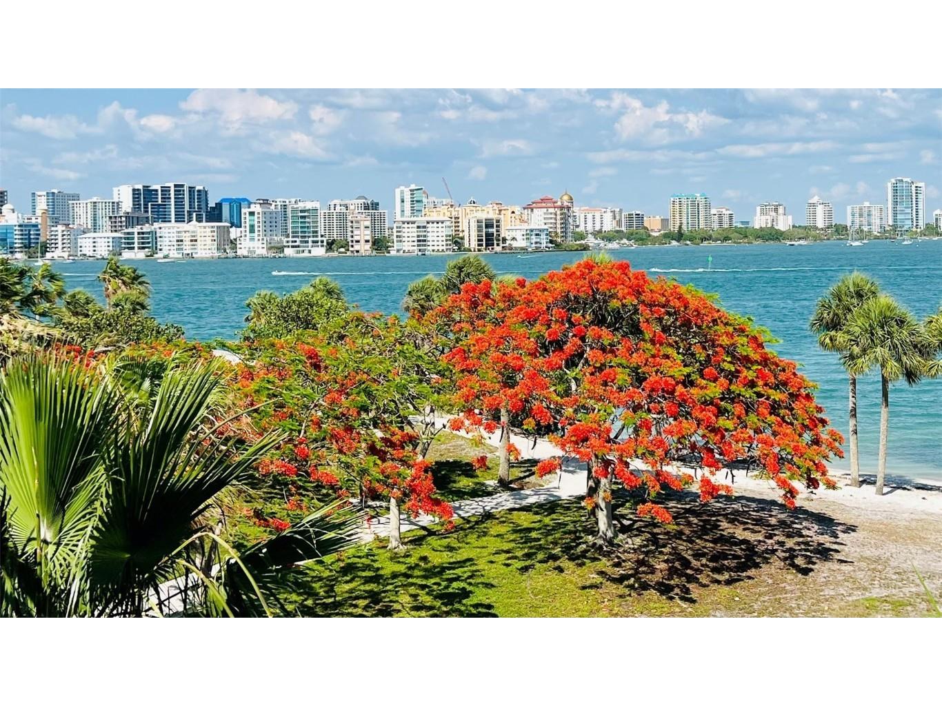 357 Tierra Mar Lane #5 Sarasota FL 34242 A4663497 image71