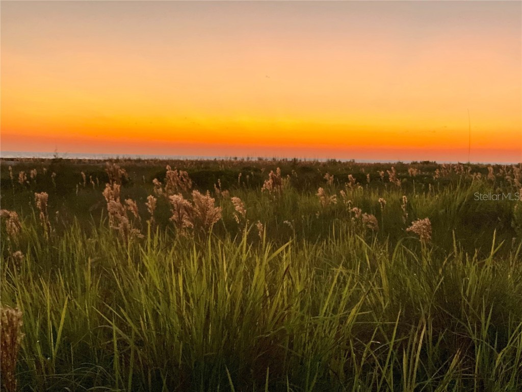 357 Tierra Mar Lane #5 Sarasota FL 34242 A4663497 image73