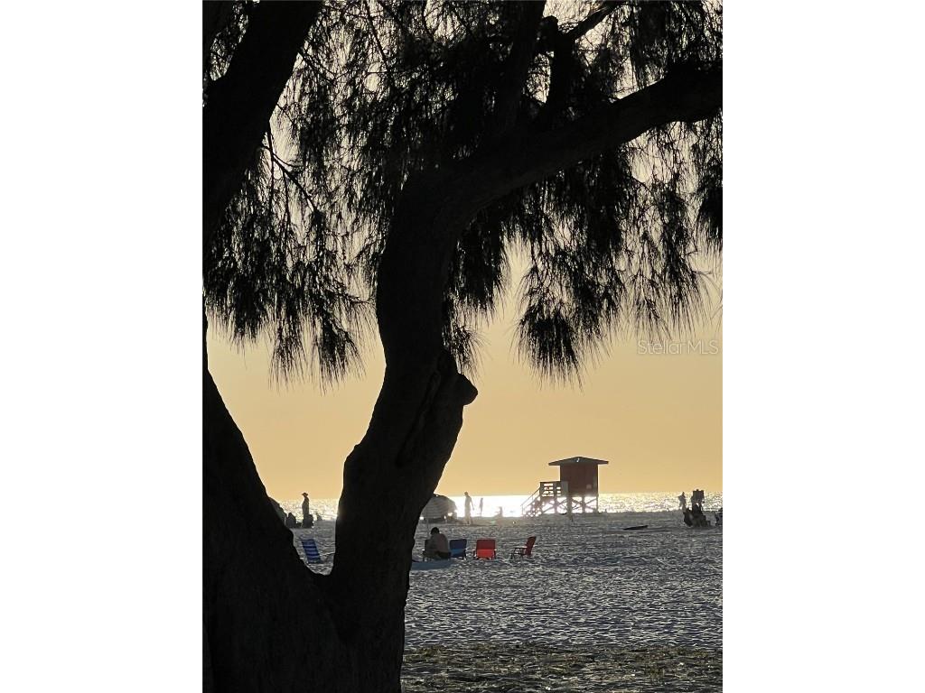 357 Tierra Mar Lane #5 Sarasota FL 34242 A4663497 image74