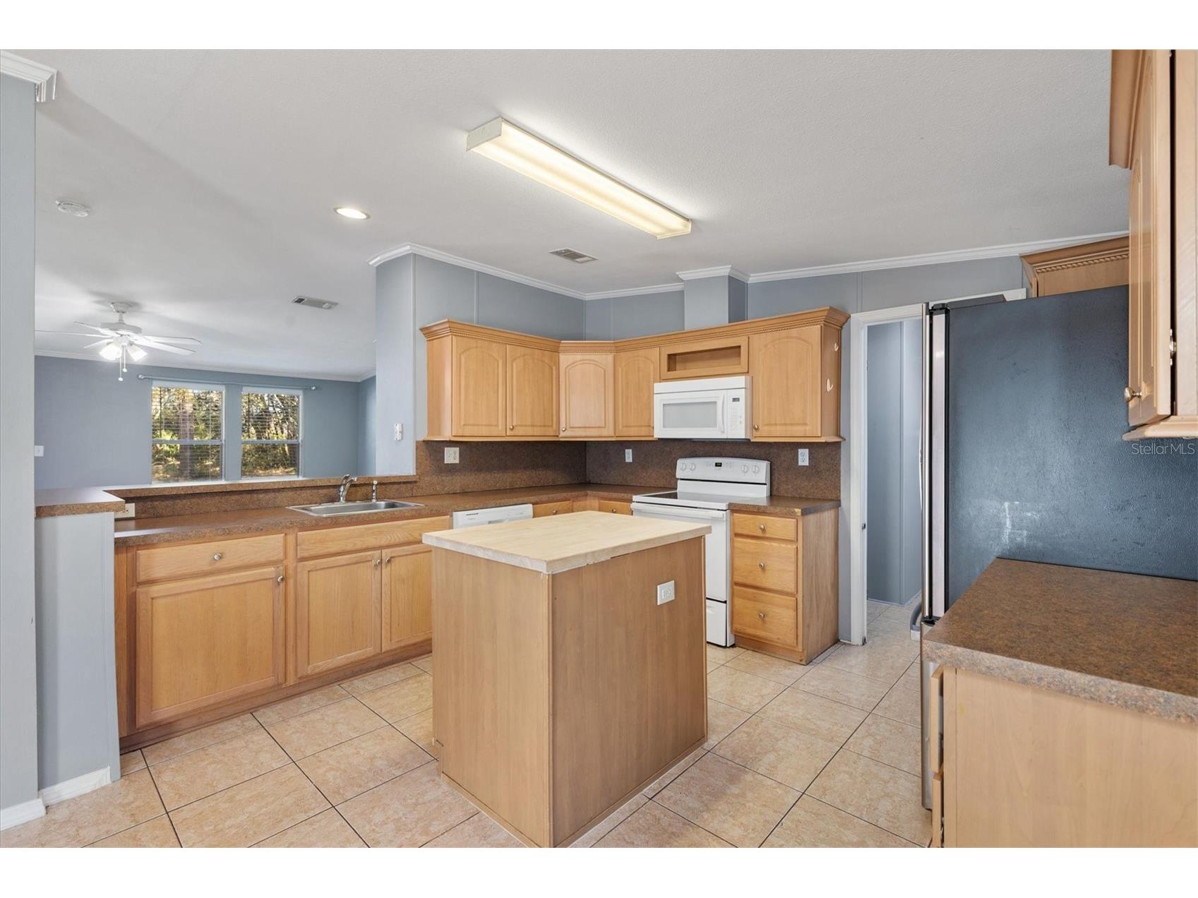 357 Walters Place Fruitland Park FL 34731 G5107797 image10