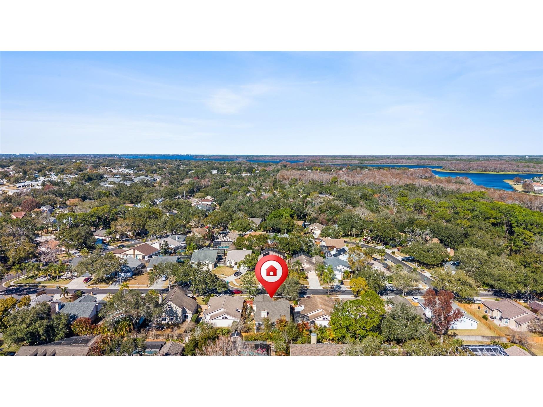 3570 Deer Run S Palm Harbor FL 34684 TB8471840 image2