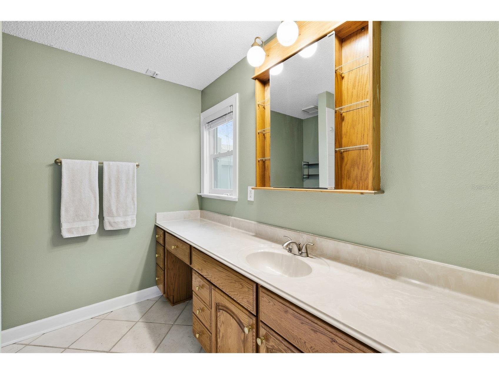 3570 Deer Run S Palm Harbor FL 34684 TB8471840 image36