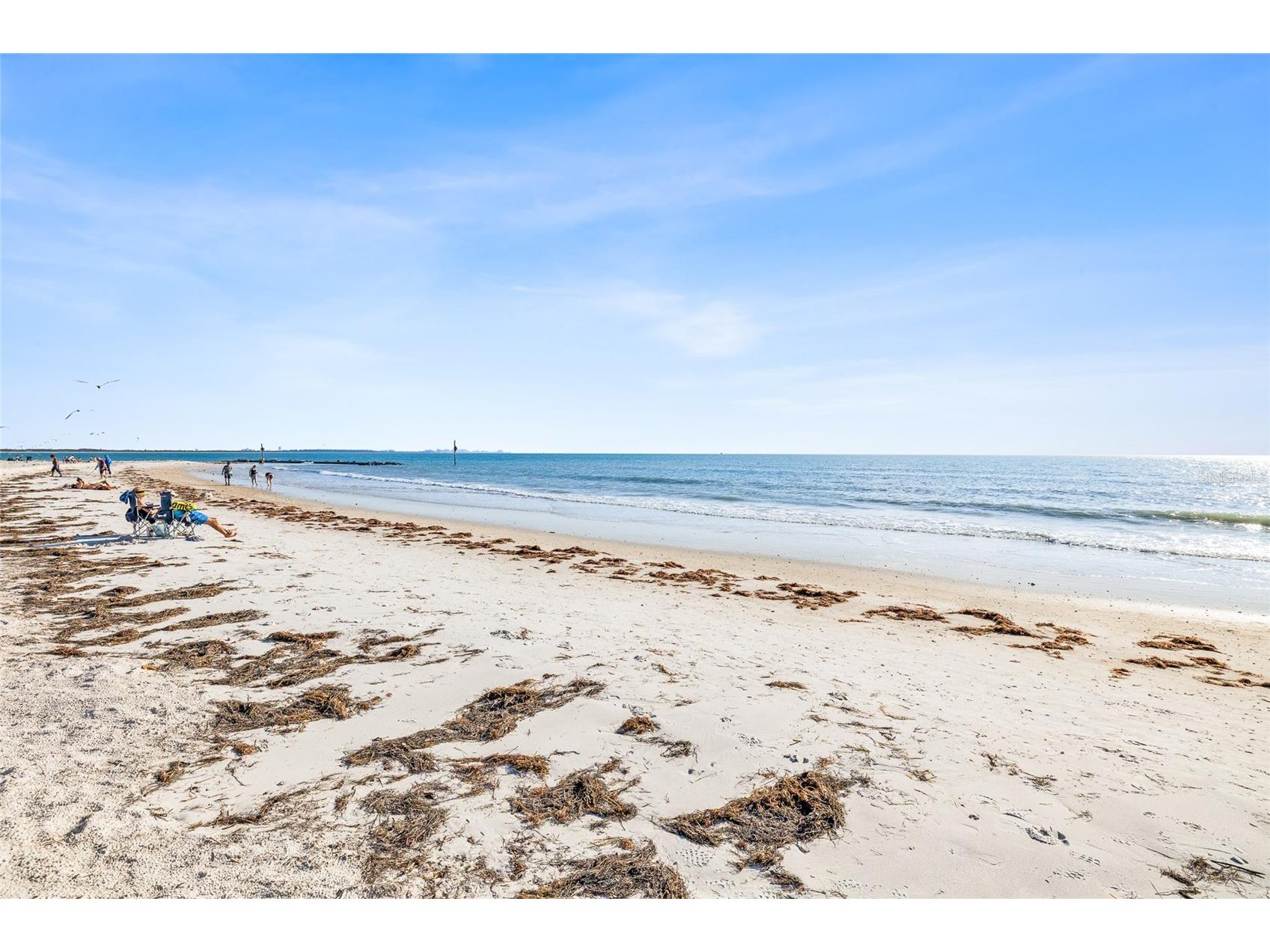 3570 Deer Run S Palm Harbor FL 34684 TB8471840 image49