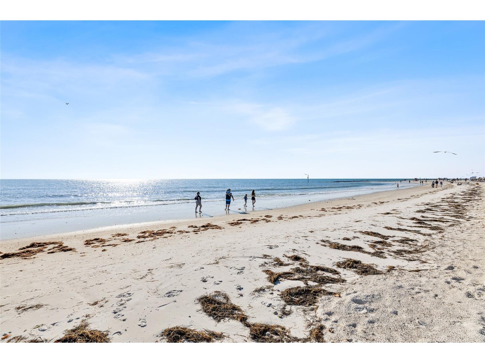 3570 Deer Run S Palm Harbor FL 34684 TB8471840 image50