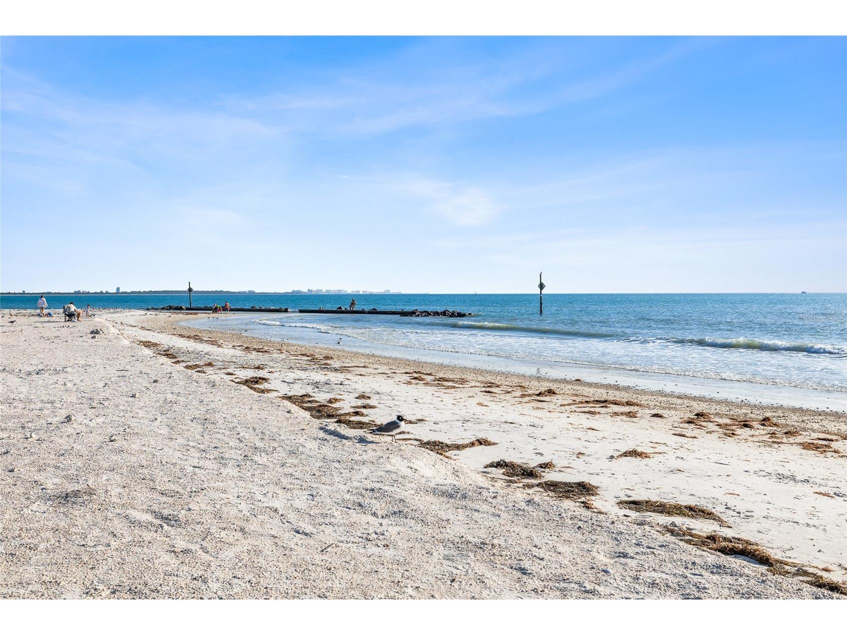 3570 Deer Run S Palm Harbor FL 34684 TB8471840 image51