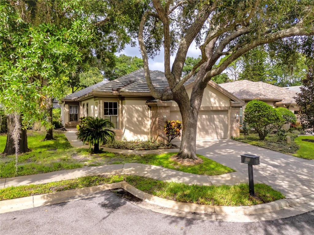 3570 Golfside Drive Palm Harbor FL 34685 U8252332 image1