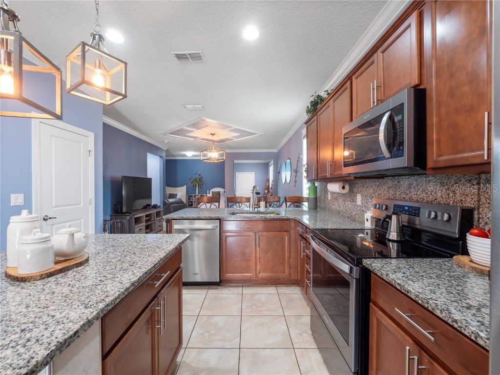 3570 Southern Cross Loop Kissimmee FL 34744 O6333789 image6