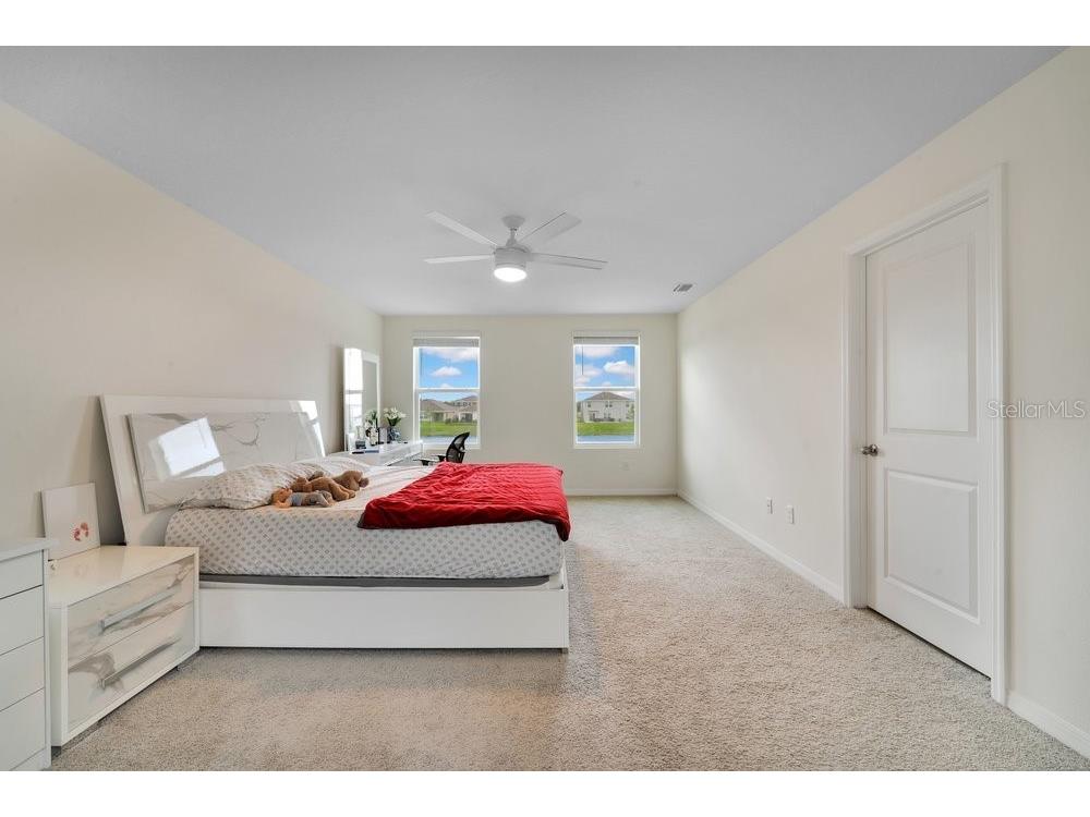 35704 Doveland Drive Zephyrhills FL 33541 L4962546 image15