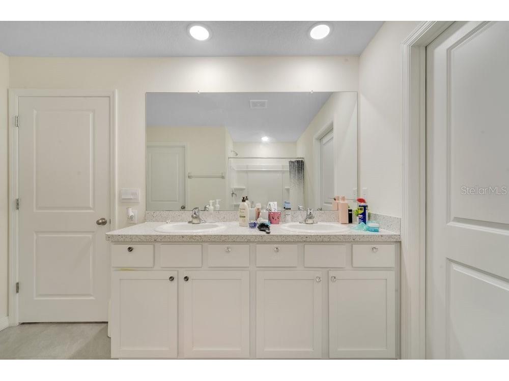 35704 Doveland Drive Zephyrhills FL 33541 L4962546 image17