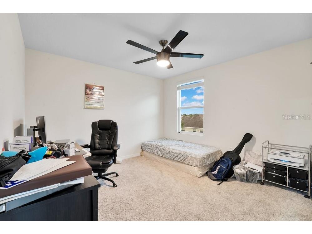 35704 Doveland Drive Zephyrhills FL 33541 L4962546 image19