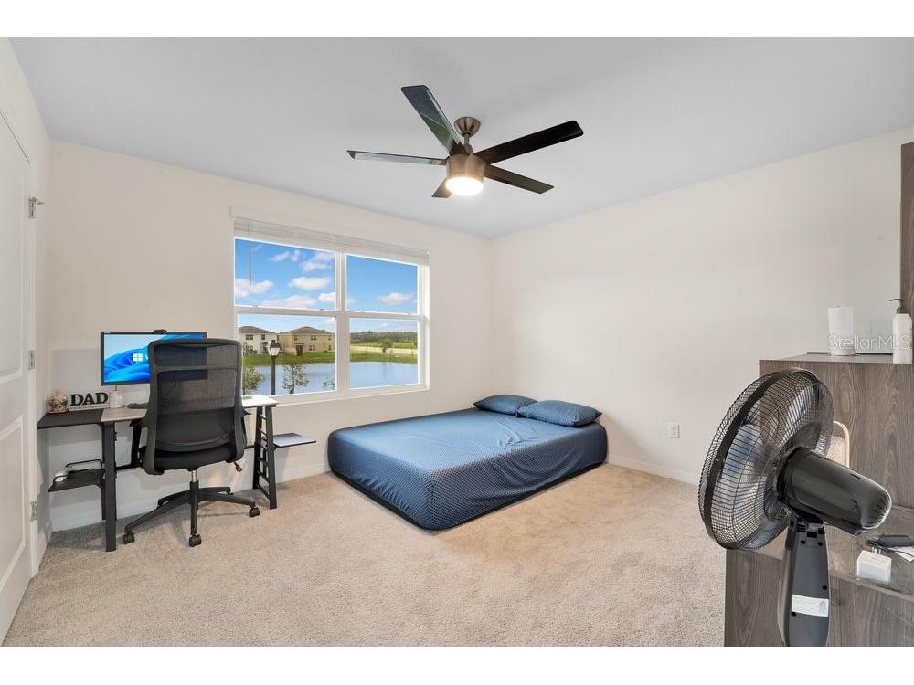 35704 Doveland Drive Zephyrhills FL 33541 L4962546 image20