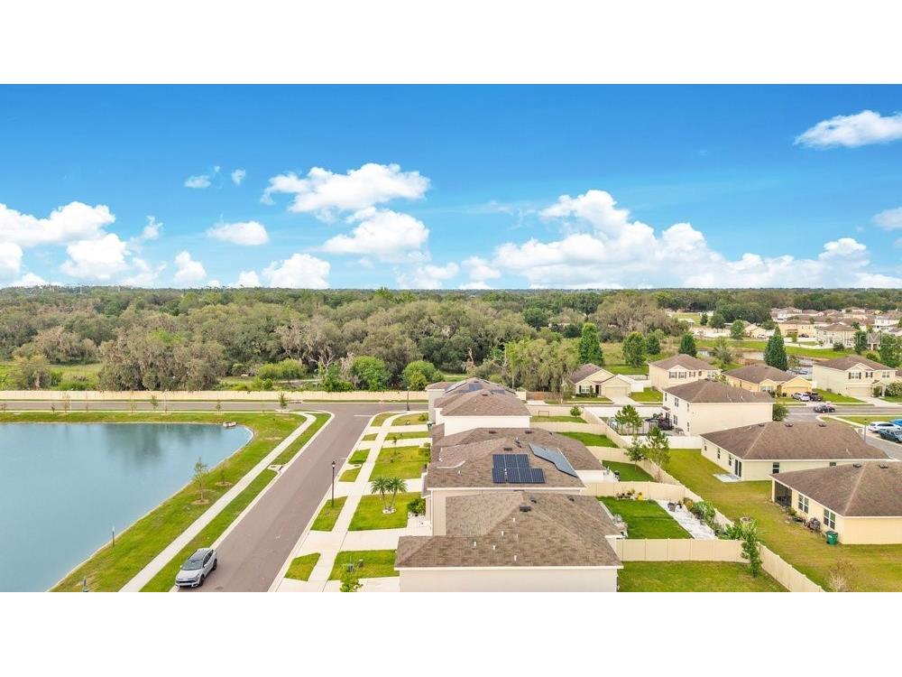 35704 Doveland Drive Zephyrhills FL 33541 L4962546 image31