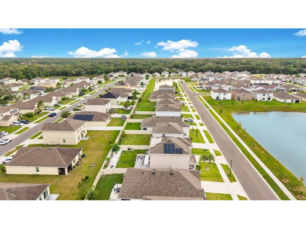 35704 Doveland Drive Zephyrhills FL 33541 L4962546 image35