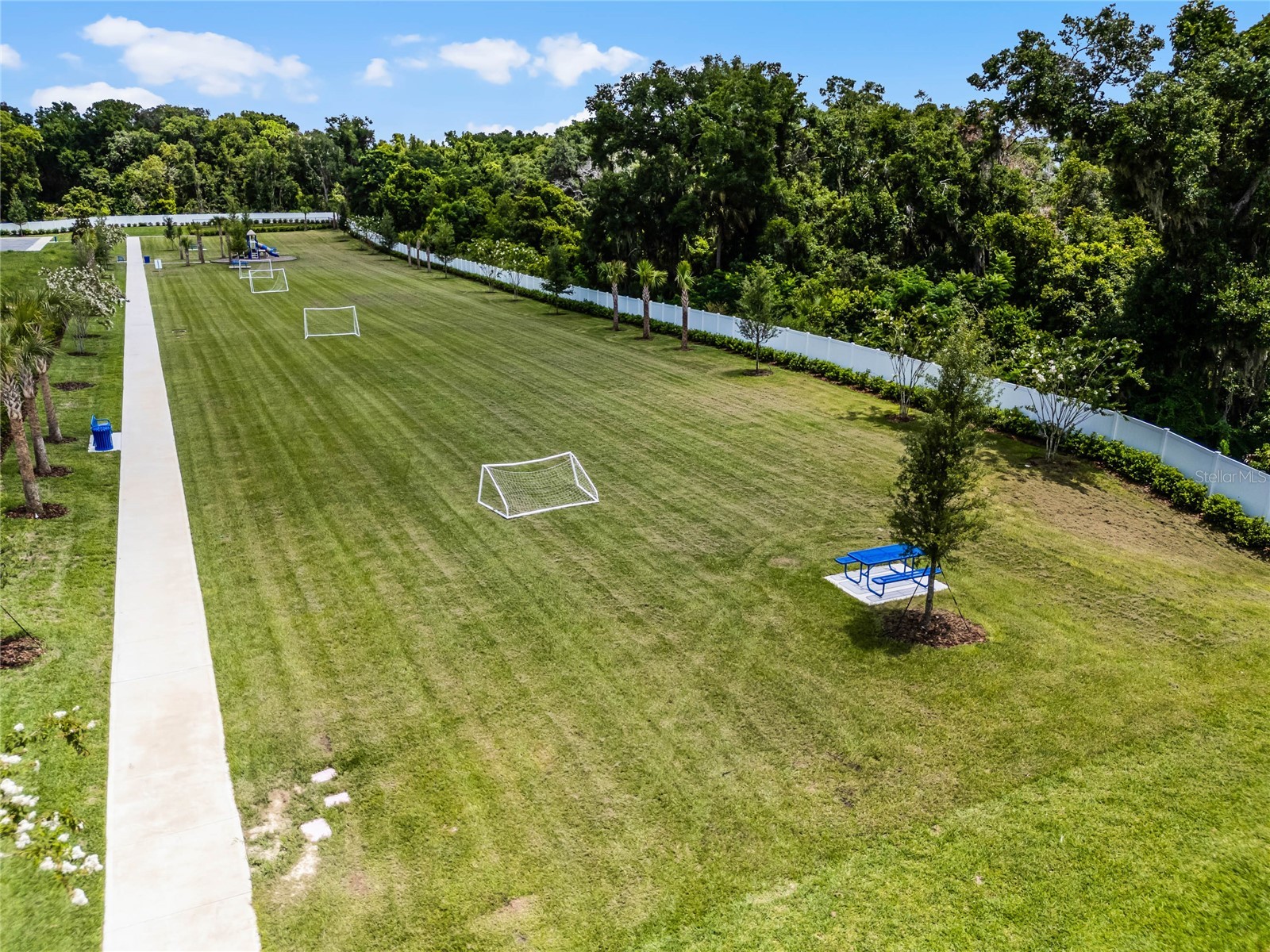 3571 Wye Oak Drive Apopka FL 32703 O6407688 image24