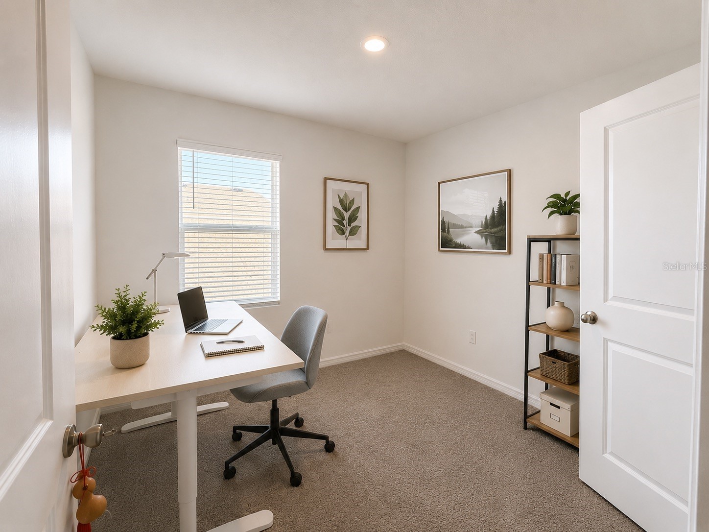 35710 Kinsey Point Zephyrhills FL 33541 TB8508035 image15