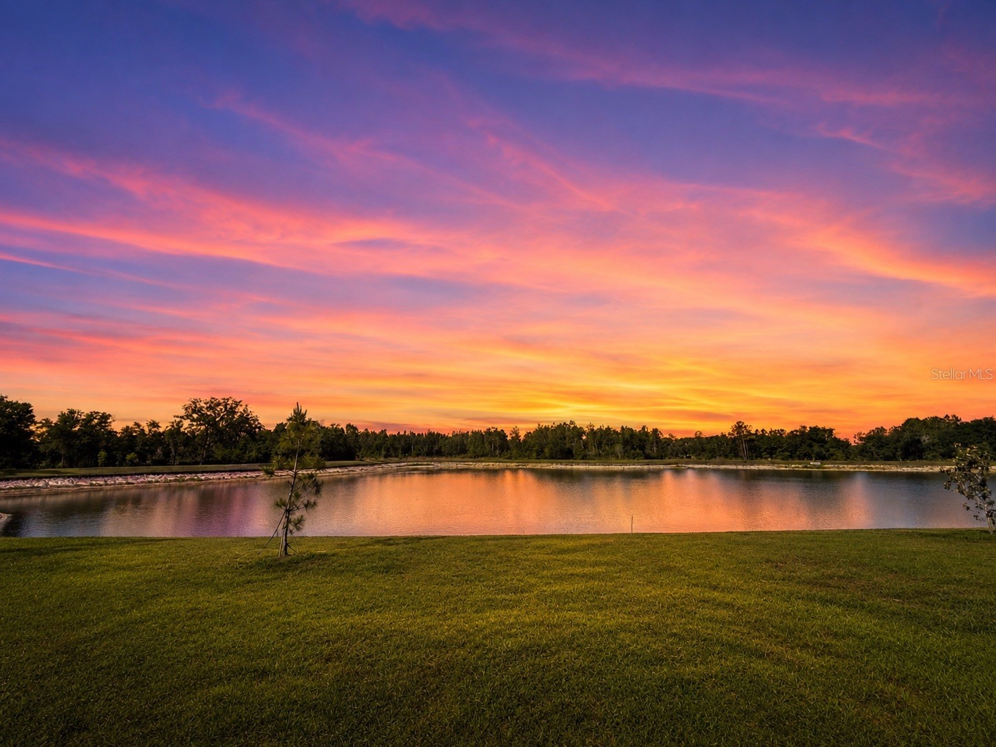 35710 Kinsey Point Zephyrhills FL 33541 TB8508035 image2