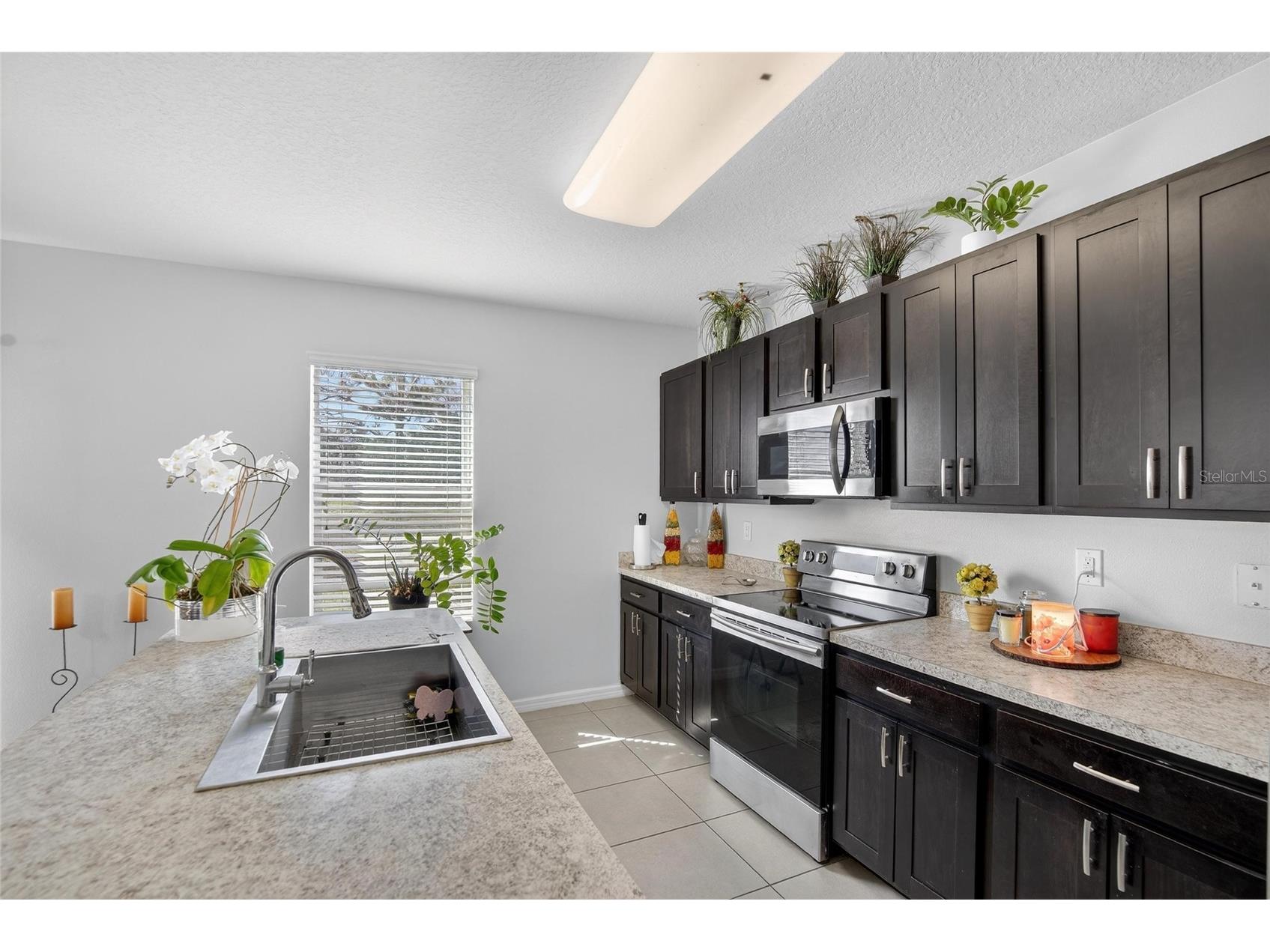 35716 Hillbrook Avenue Zephyrhills FL 33541 TB8488021 image14