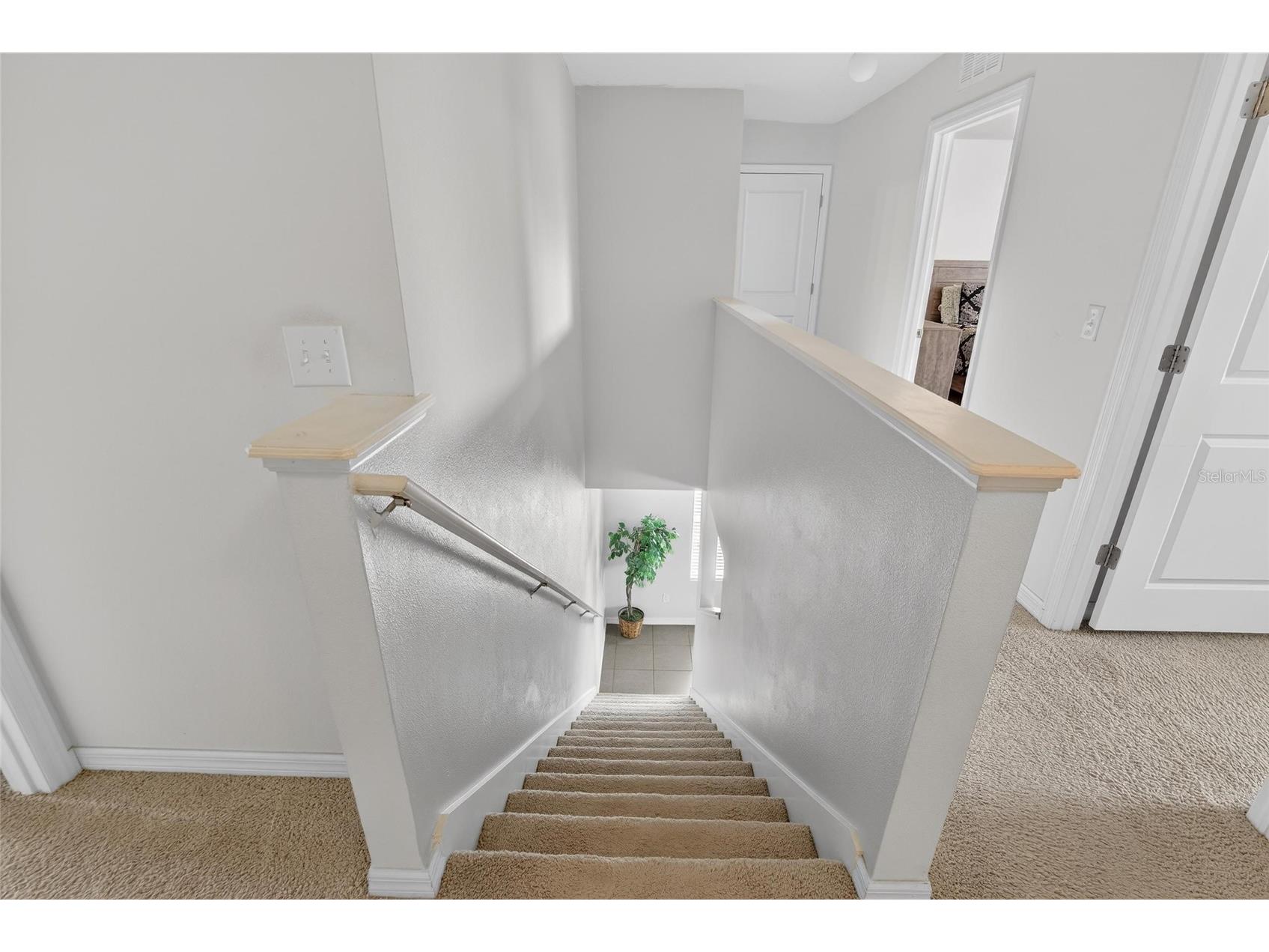 35716 Hillbrook Avenue Zephyrhills FL 33541 TB8488021 image23