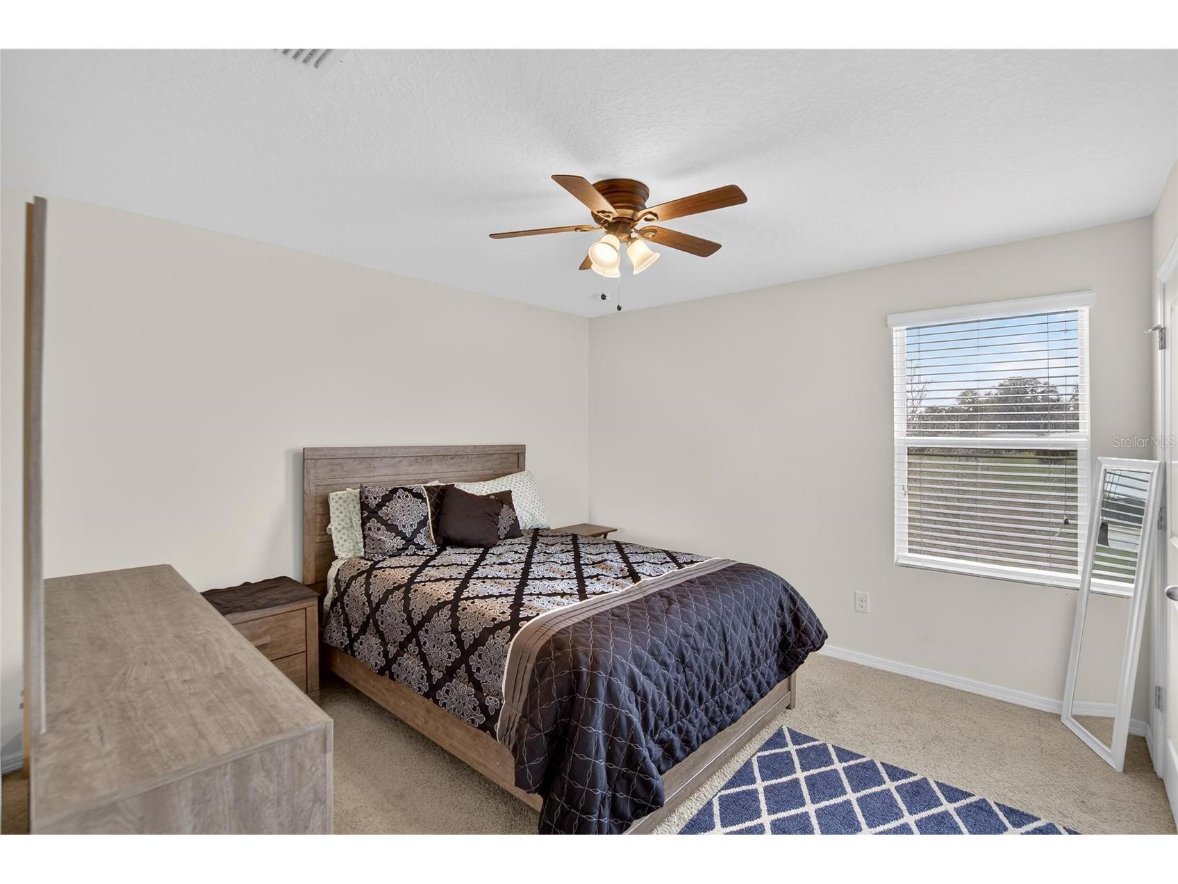 35716 Hillbrook Avenue Zephyrhills FL 33541 TB8488021 image24