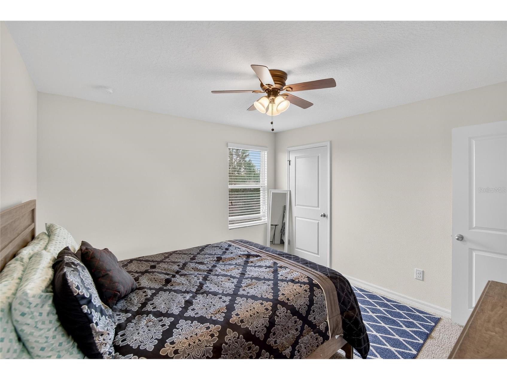 35716 Hillbrook Avenue Zephyrhills FL 33541 TB8488021 image26