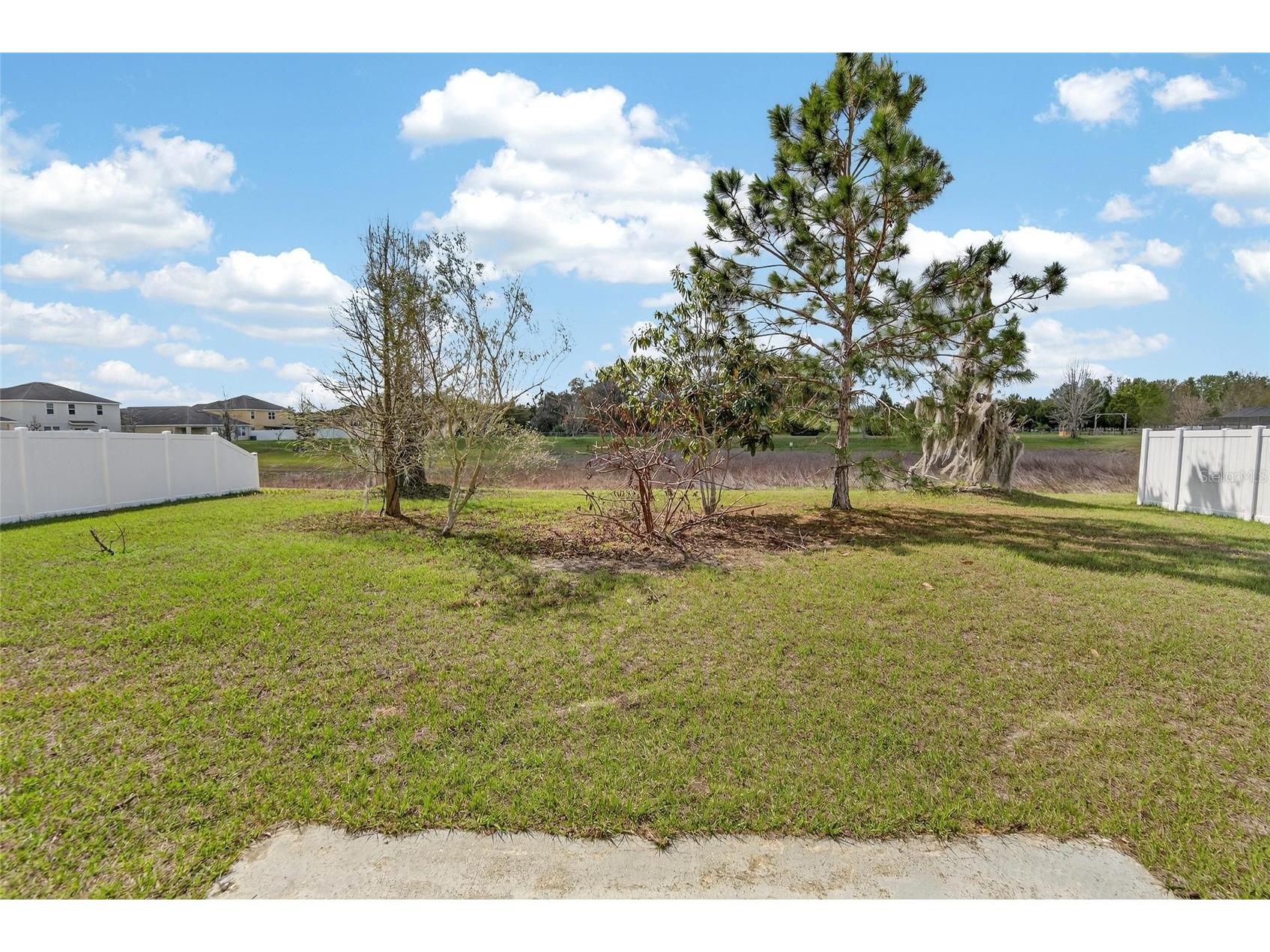 35716 Hillbrook Avenue Zephyrhills FL 33541 TB8488021 image47