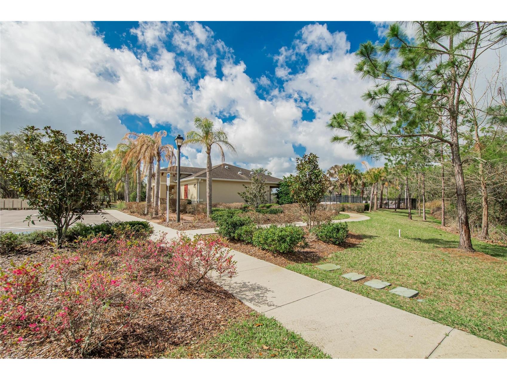 35716 Hillbrook Avenue Zephyrhills FL 33541 TB8488021 image53