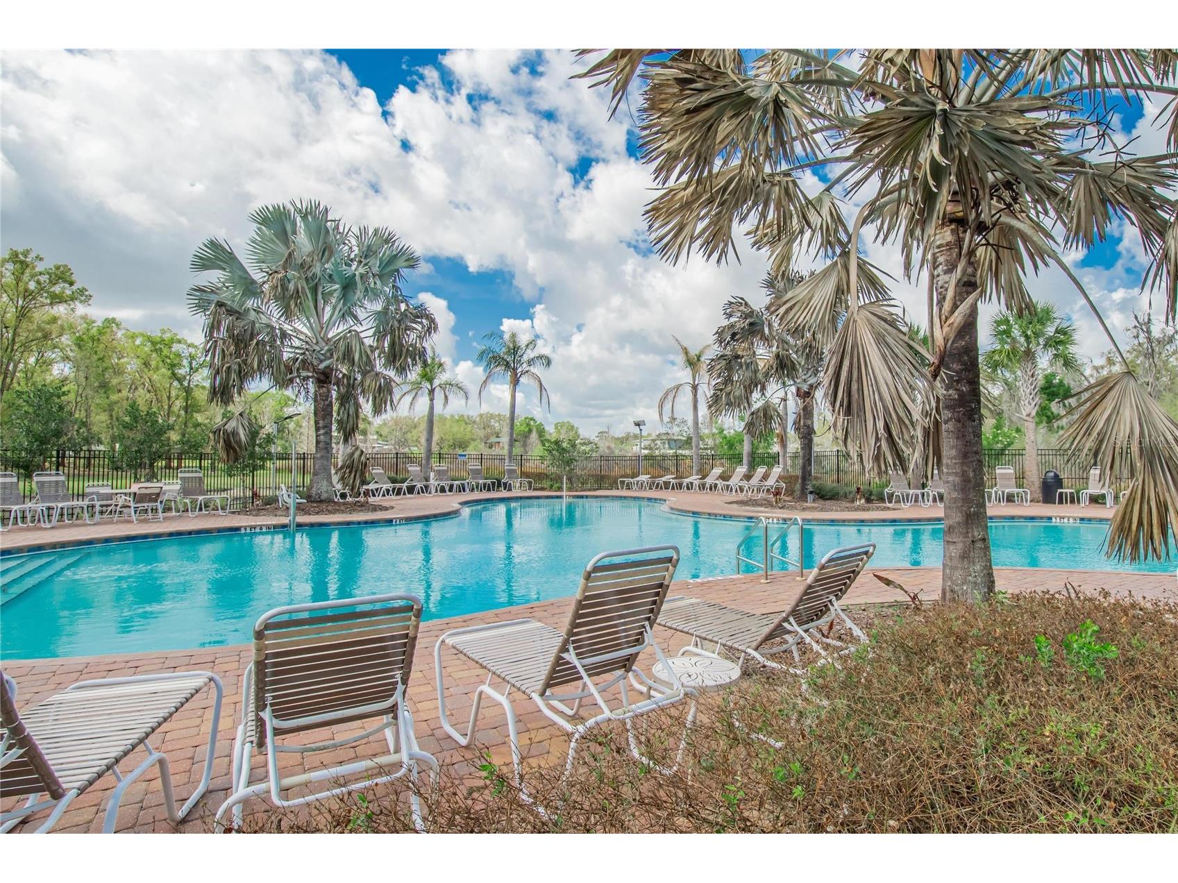 35716 Hillbrook Avenue Zephyrhills FL 33541 TB8488021 image54