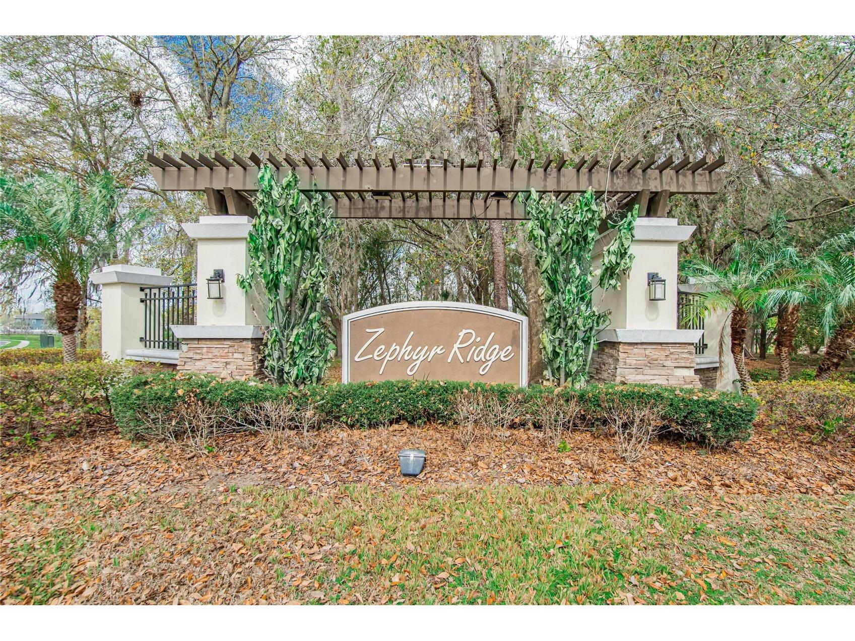 35716 Hillbrook Avenue Zephyrhills FL 33541 TB8488021 image55