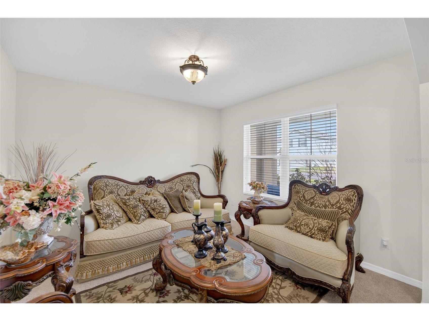 35716 Hillbrook Avenue Zephyrhills FL 33541 TB8488021 image8