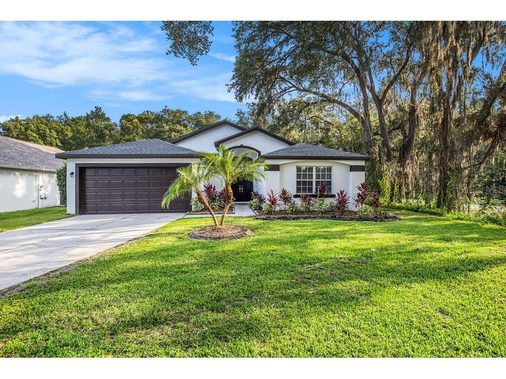 35717 Welby Court Zephyrhills FL 33541 T3451750 image1
