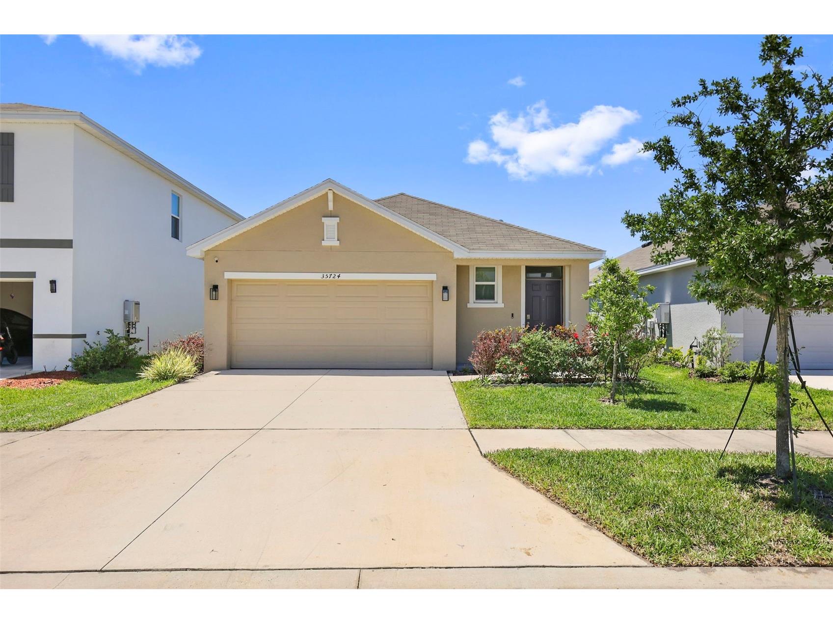 35724 Sunflower Hill Drive Zephyrhills FL 33541 TB8499894 image1