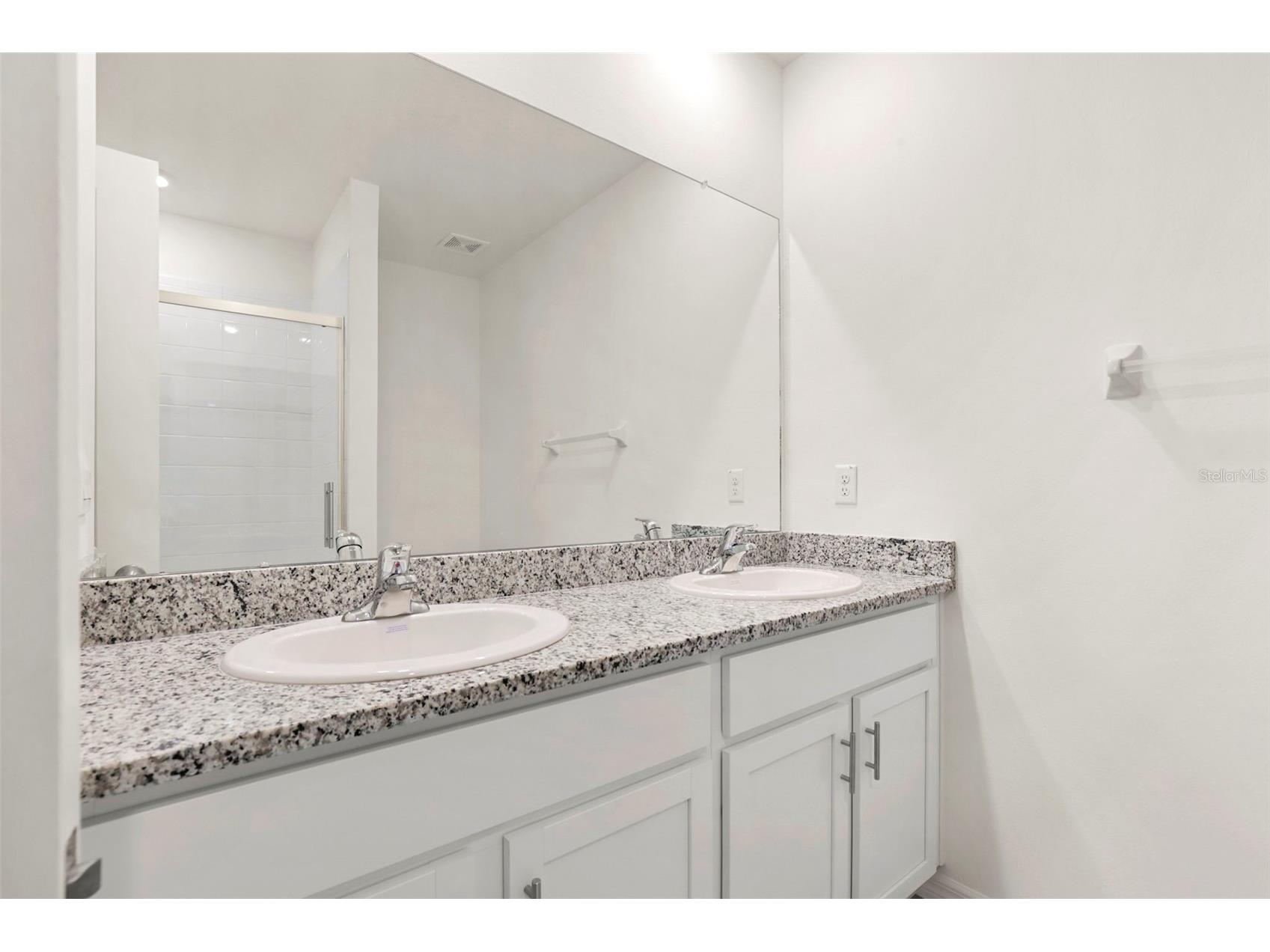 35724 Sunflower Hill Drive Zephyrhills FL 33541 TB8499894 image21