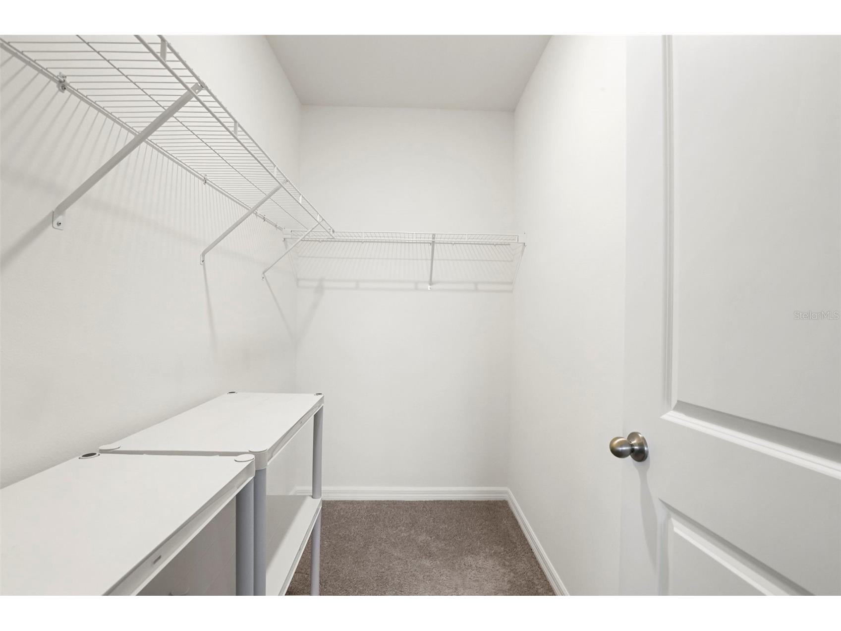 35724 Sunflower Hill Drive Zephyrhills FL 33541 TB8499894 image23