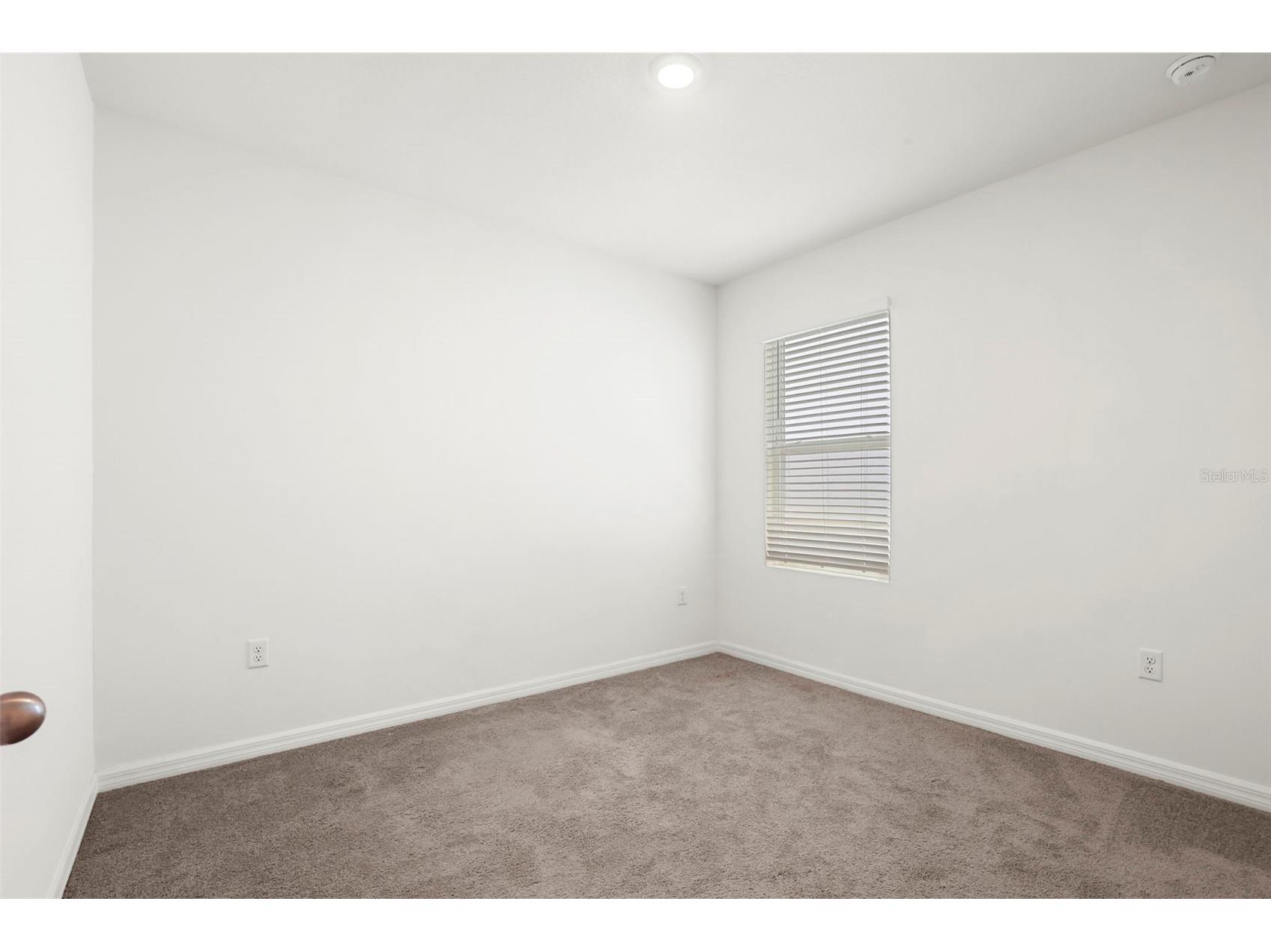 35724 Sunflower Hill Drive Zephyrhills FL 33541 TB8499894 image24
