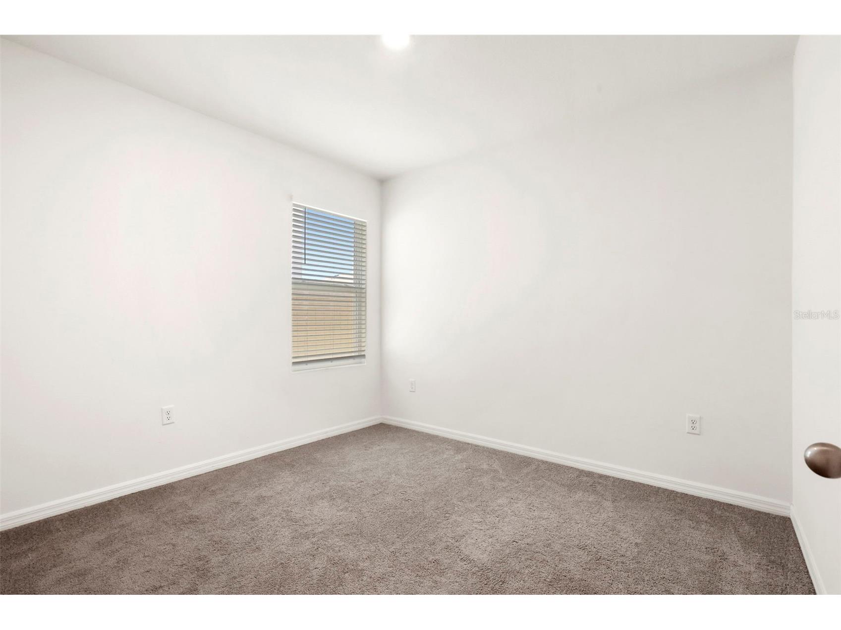 35724 Sunflower Hill Drive Zephyrhills FL 33541 TB8499894 image25