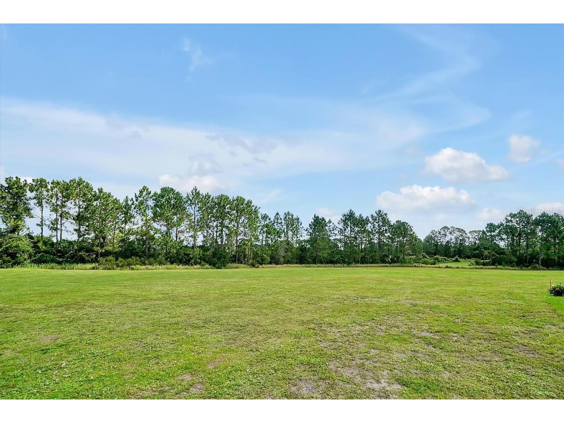 3573 Sandhill Crane Circle Mims FL 32754 S5129234 image33