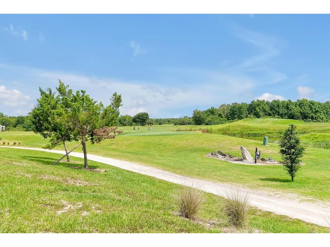 3573 Sandhill Crane Circle Mims FL 32754 S5129234 image47