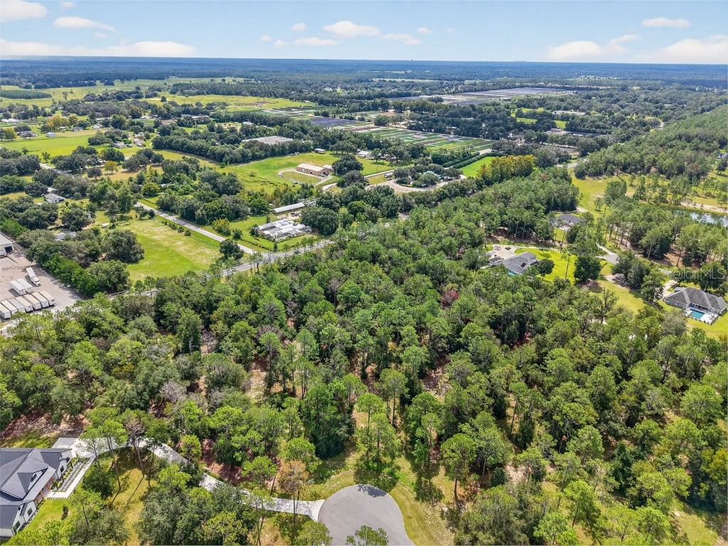 35734 High Pines Drive Eustis FL 32736 O6340970 image11