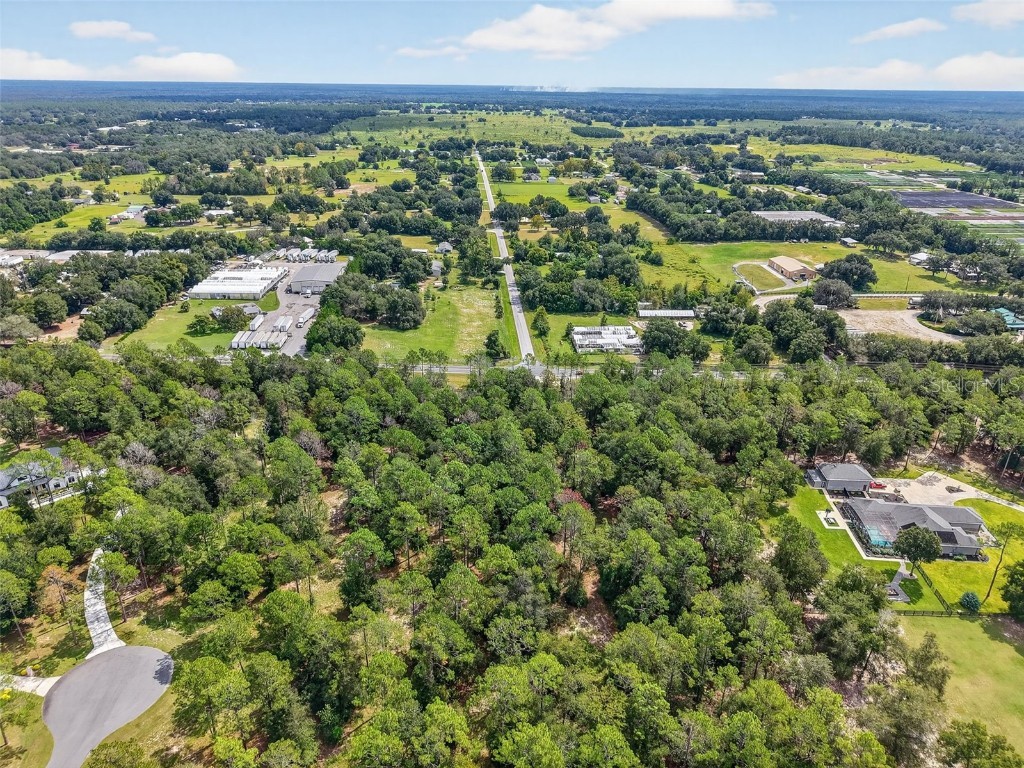 35734 High Pines Drive Eustis FL 32736 O6340970 image14