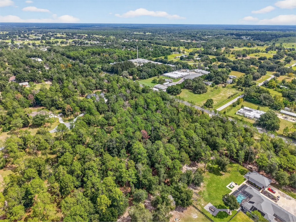 35734 High Pines Drive Eustis FL 32736 O6340970 image16