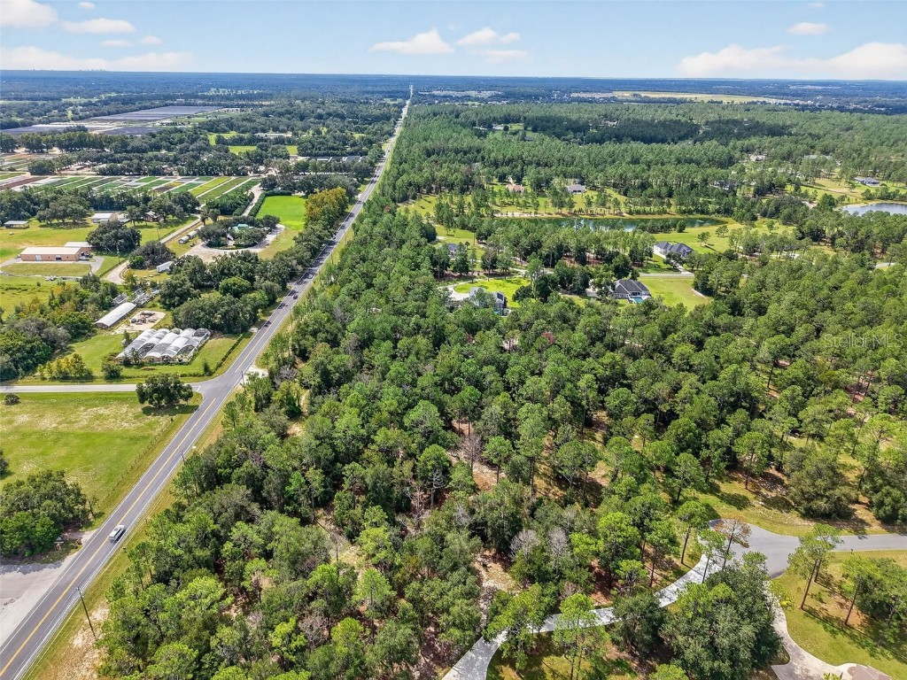 35734 High Pines Drive Eustis FL 32736 O6340970 image17