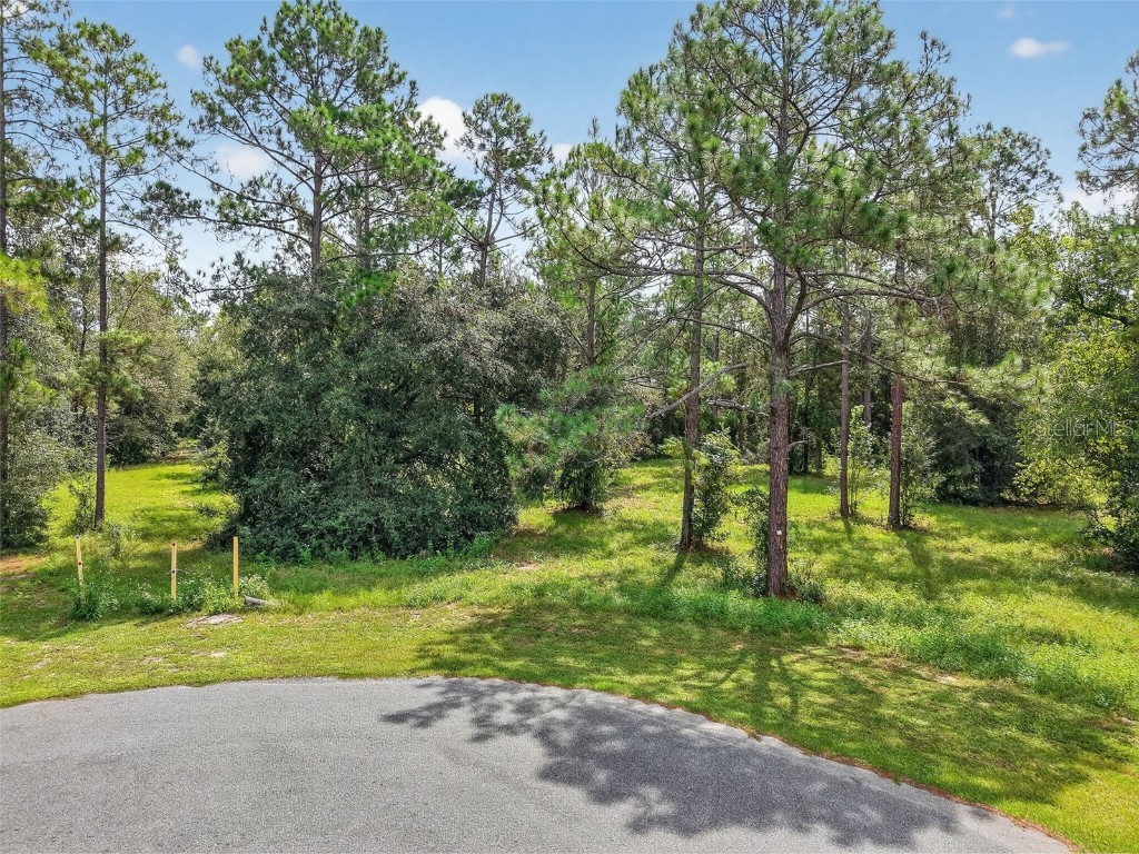 35734 High Pines Drive Eustis FL 32736 O6340970 image19