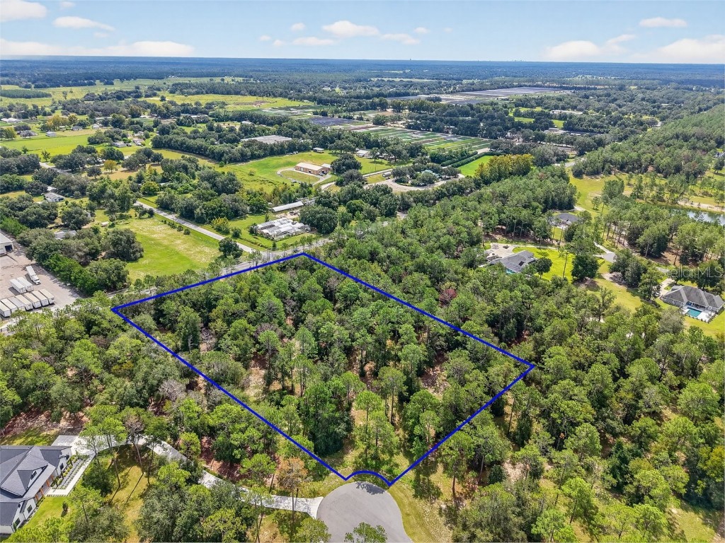 35734 High Pines Drive Eustis FL 32736 O6340970 image6