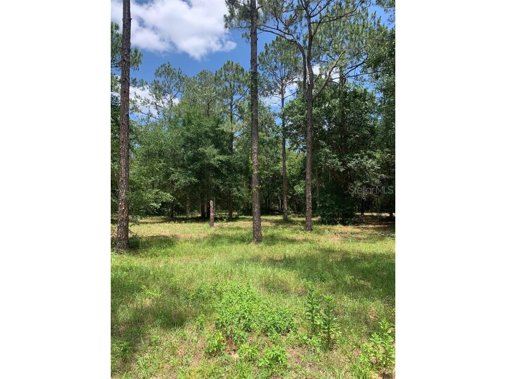 35735 High Pines Drive Eustis FL 32736 G5055793 image1