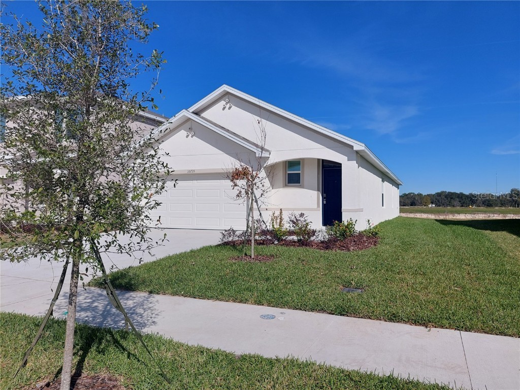 35735 Sunflower Hill Drive Zephyrhills FL 33541 T3495287 image1