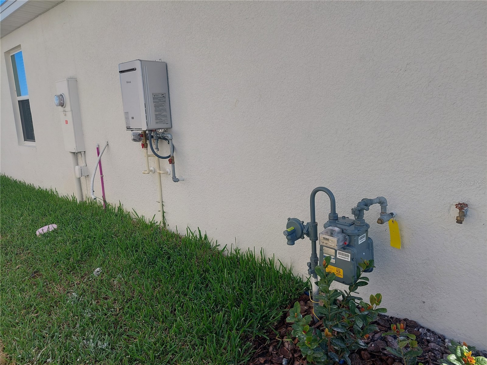 35735 Sunflower Hill Drive Zephyrhills FL 33541 TB8476028 image18